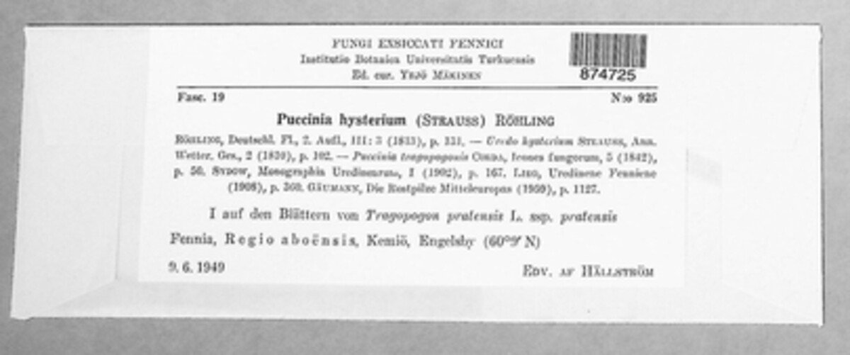 Puccinia hysterium image